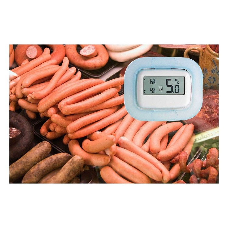 Come si può Misurare la Temperatura di un Frigorifero | Termometro per Frigorifero e Congelatore