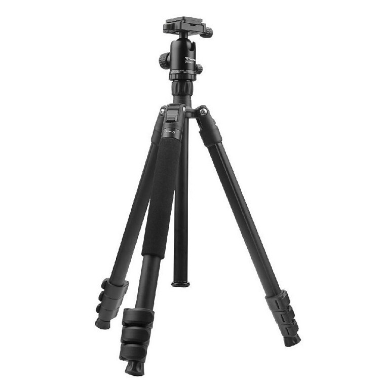Cavalletto per Fotografia Naturalistica Genova | Quando Serve il Treppiede | Che Cavalletto Comprare