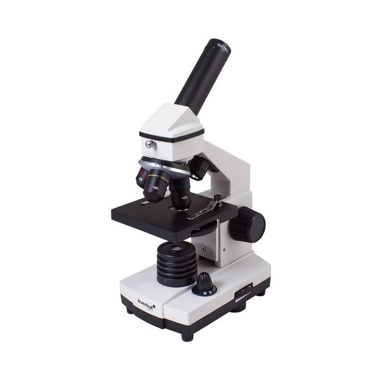 Microscopio Ottico Cosa si Vede | Microscopio Ottico a Vercelli | Microscopio Ottico Professionale