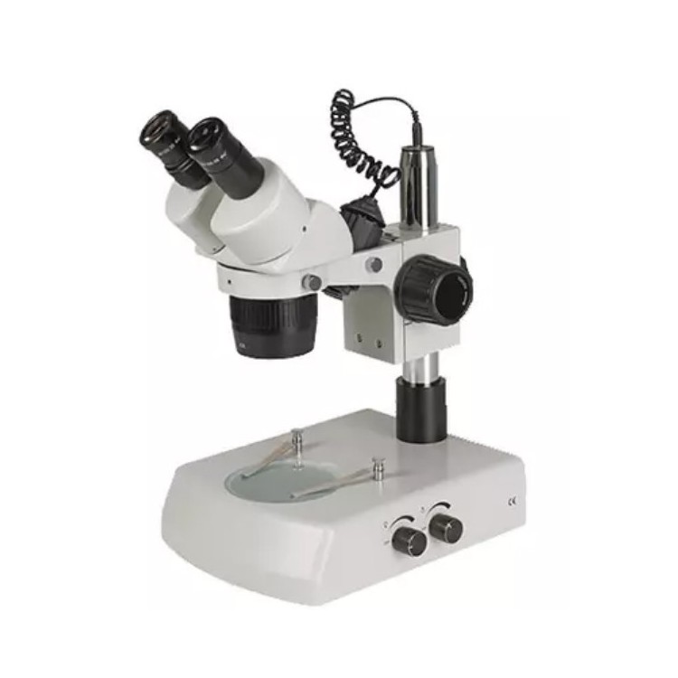 Microscopio per Vedere Virus a Bolzano | Microscopio Elettronico Professionale | Microscopio Prezzo