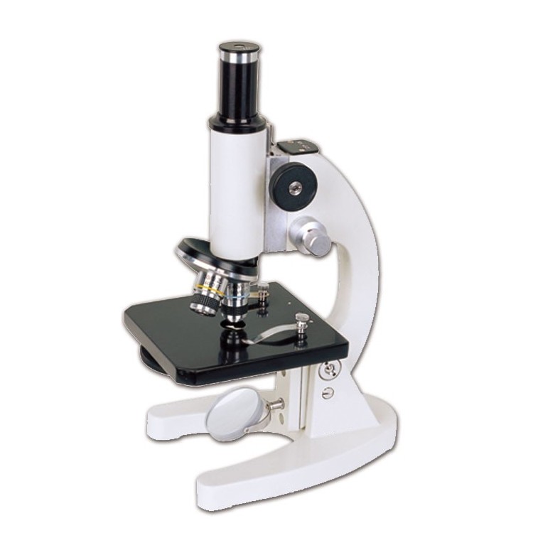 Microscopio Biologico Binoculare | Microscopio Scuola Primaria | Microscopio Elettronico a Grosseto
