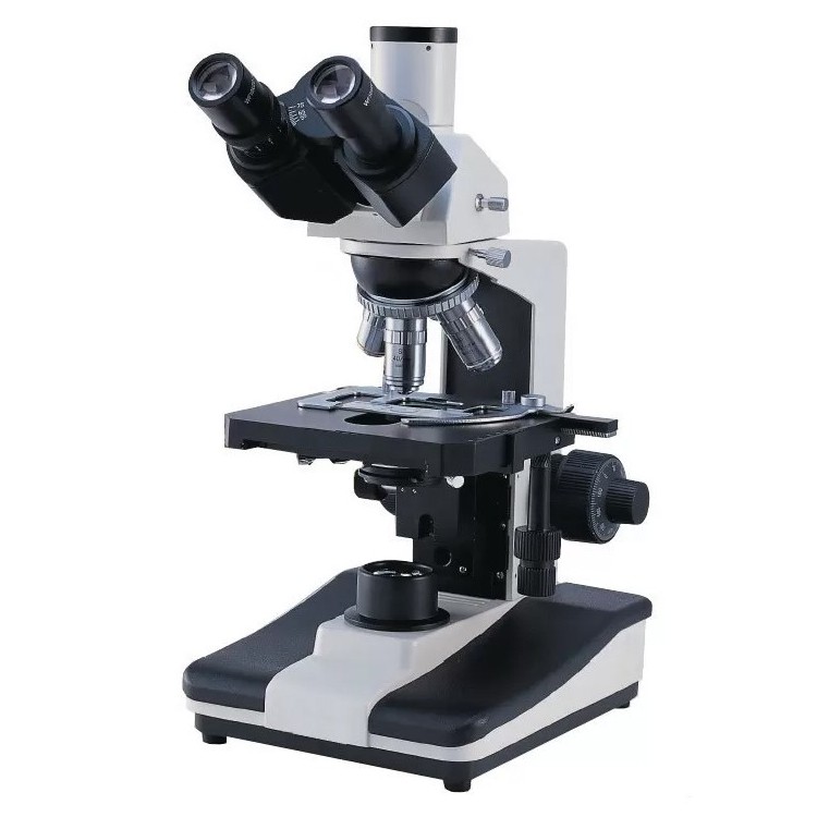 Microscopio Elettronico Professionale Prezzo | Microscopi Professionali da Laboratorio a Catanzaro