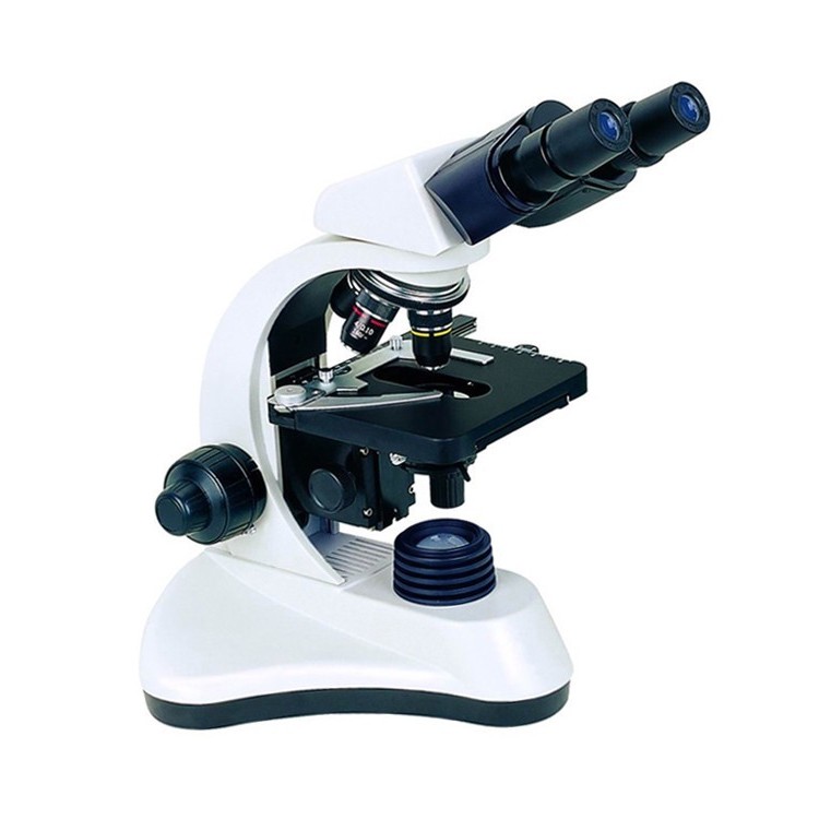Microscopio USB Lecce | Miglior Microscopio per Studenti | Come Scegliere un Microscopio per Ragazzi