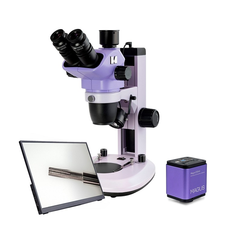 Storia Microscopio | Come Funziona il Microscopio Digitale | Quale Microscopio per Vedere le Cellule