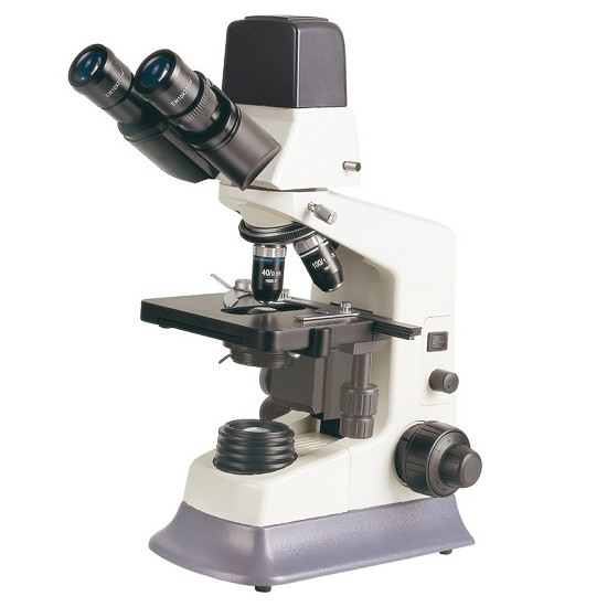 Microscopio Binoculare Biologico con Telecamera
