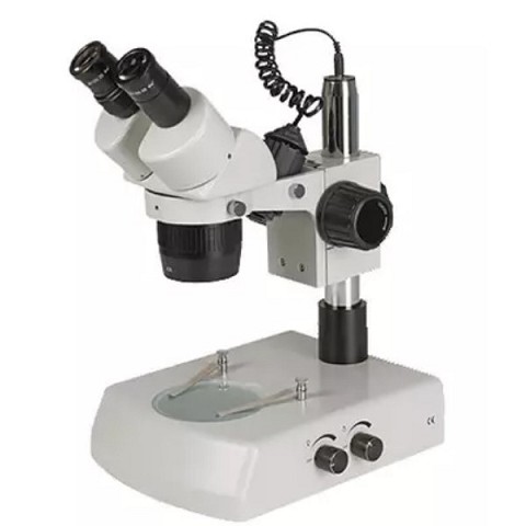 Microscopio Stereoscopico Binoculare ST60-24 B2