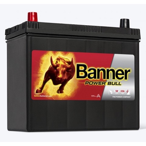Batteria 45Ah 390A (P45 24)