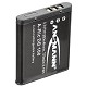 batteria per Kodak Pixpro | batteria db-100 per ricoh | ricoh battery db-100 | ricoh battery db-110