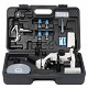 Microscopi Digitali Bresser | Microscopio Digitale Recensioni | Microscopio Digitale USB 1000X Roma